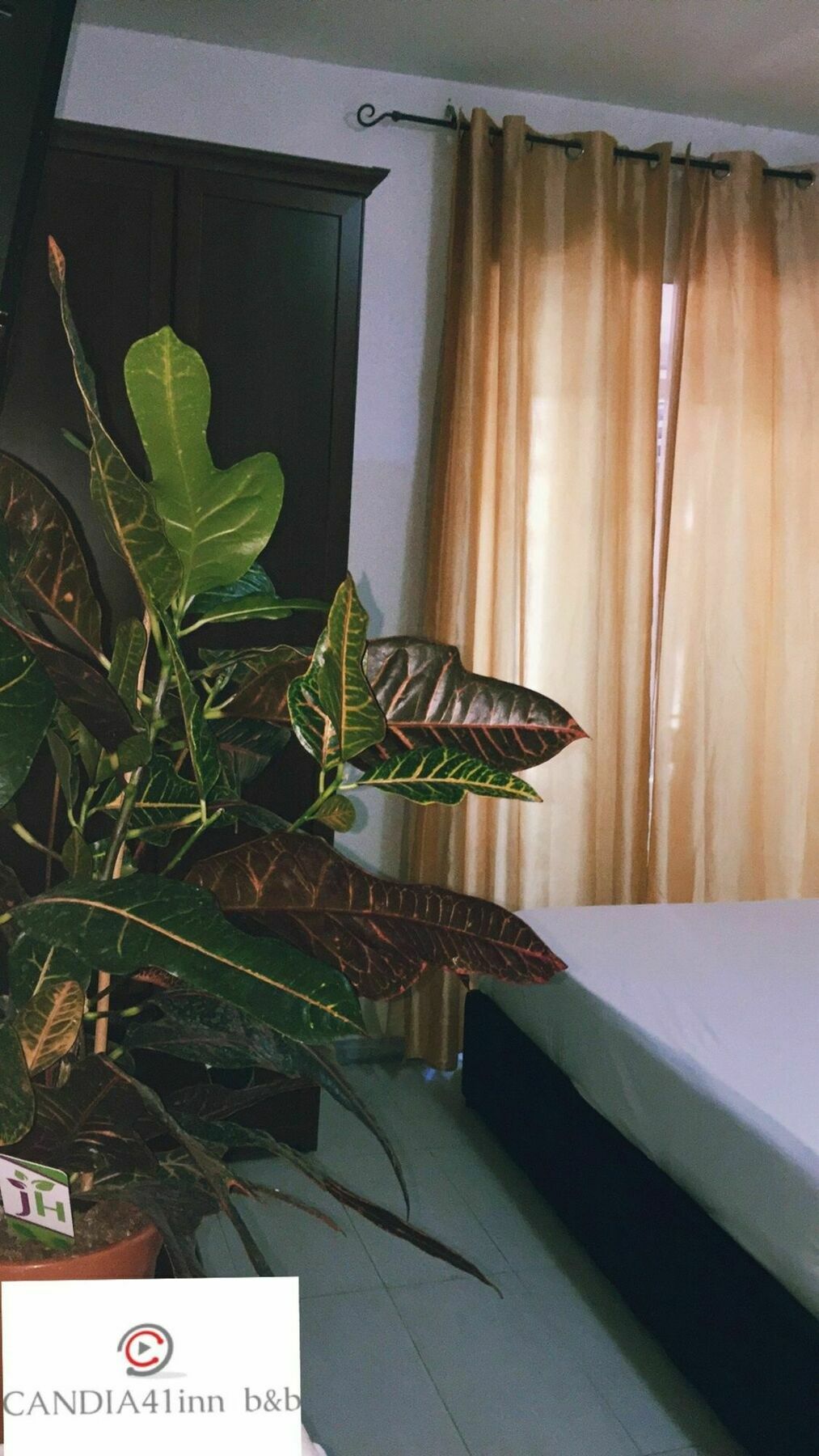 روما Candia41 المظهر الخارجي الصورة